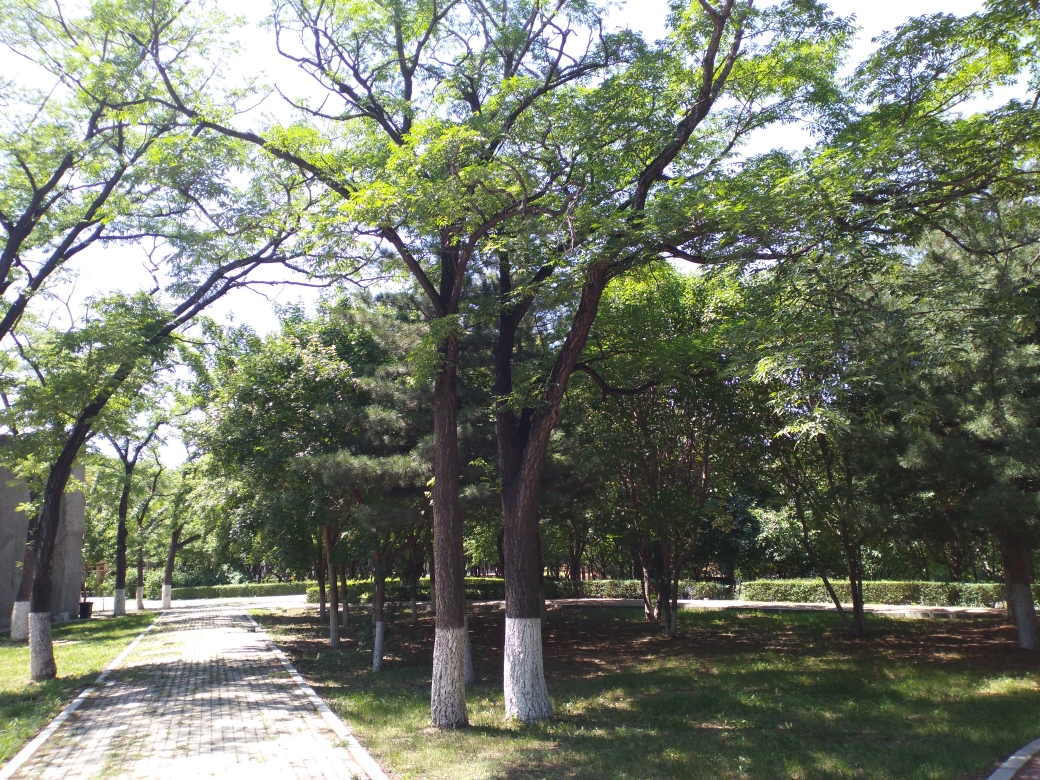 庆祝[好声音长春朗读分社]成立首期空中诗歌晚会