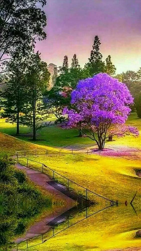 这边风景真优美