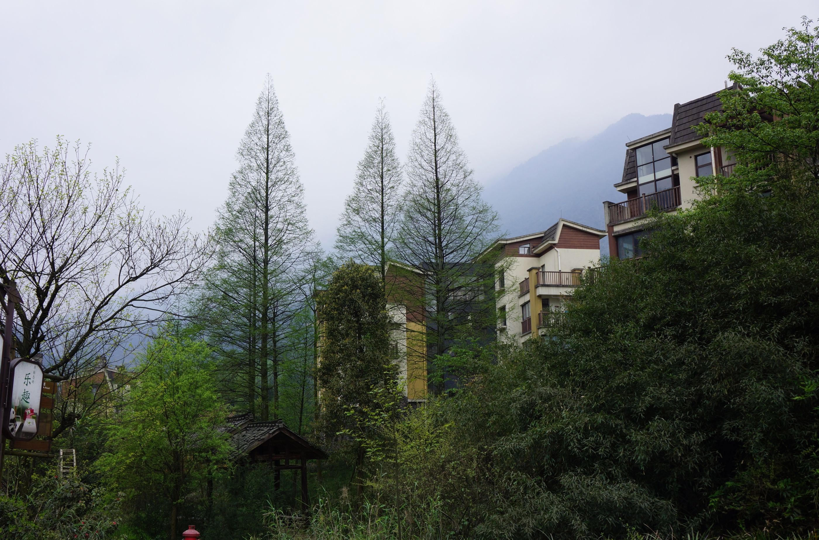 七里坪旅游风景区图片图片