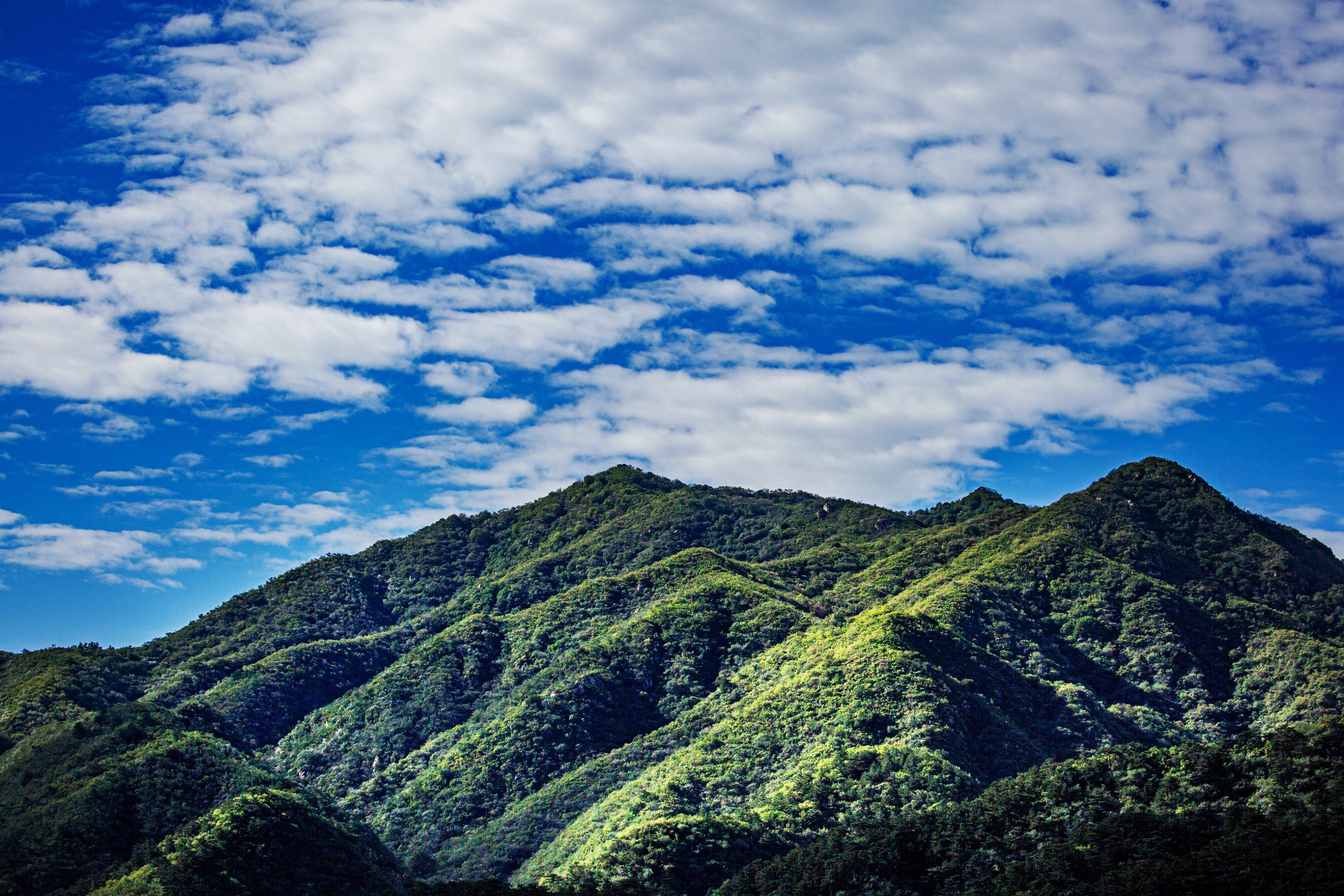 爬野山登高望远,远山风景尽收眼底