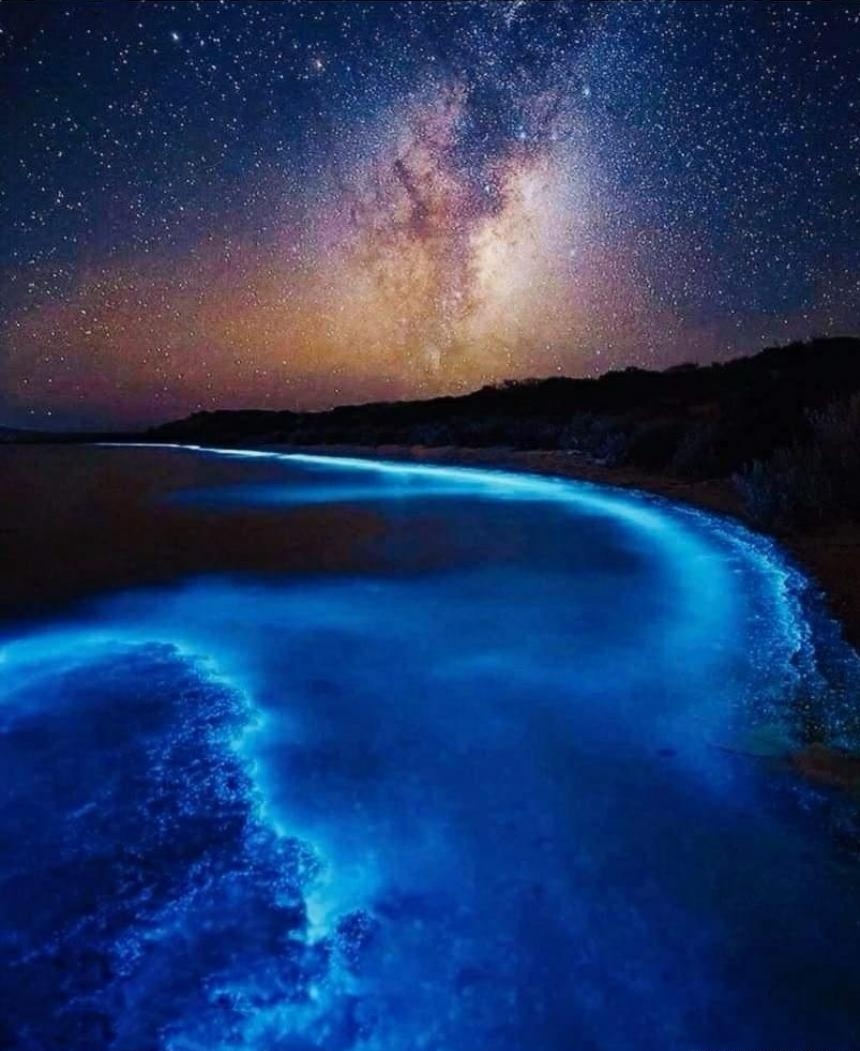 文/菊儿 午夜 星河被悄悄渲染成蓝色 散乱的星子 摒弃矜持,冷漠的伪装