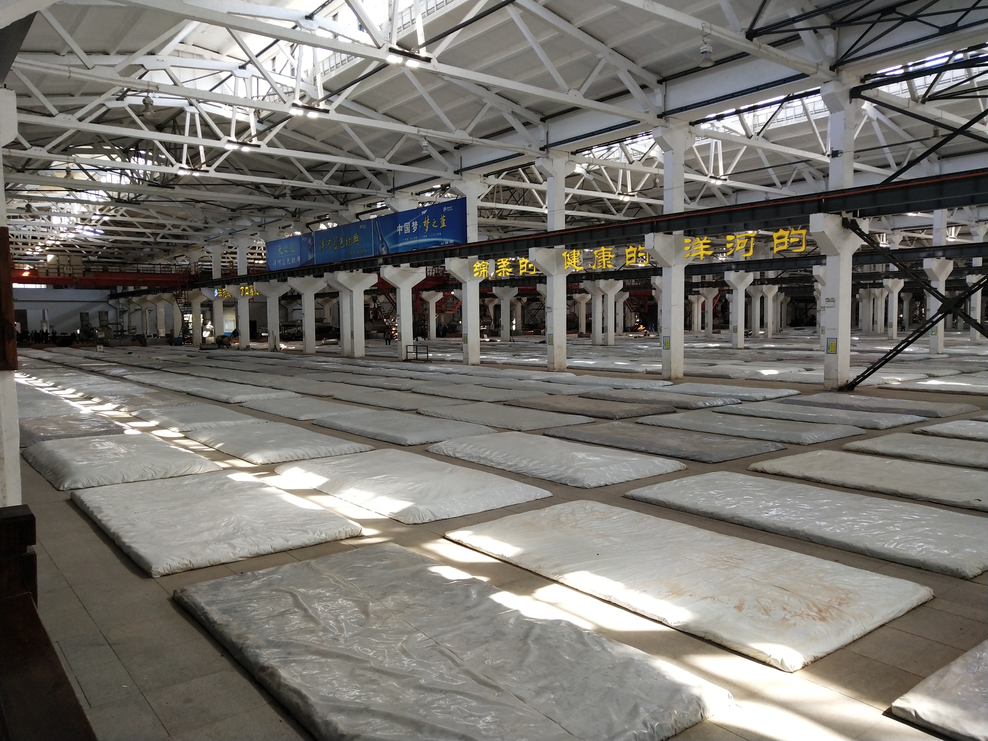 各大媒体参观洋河酒厂