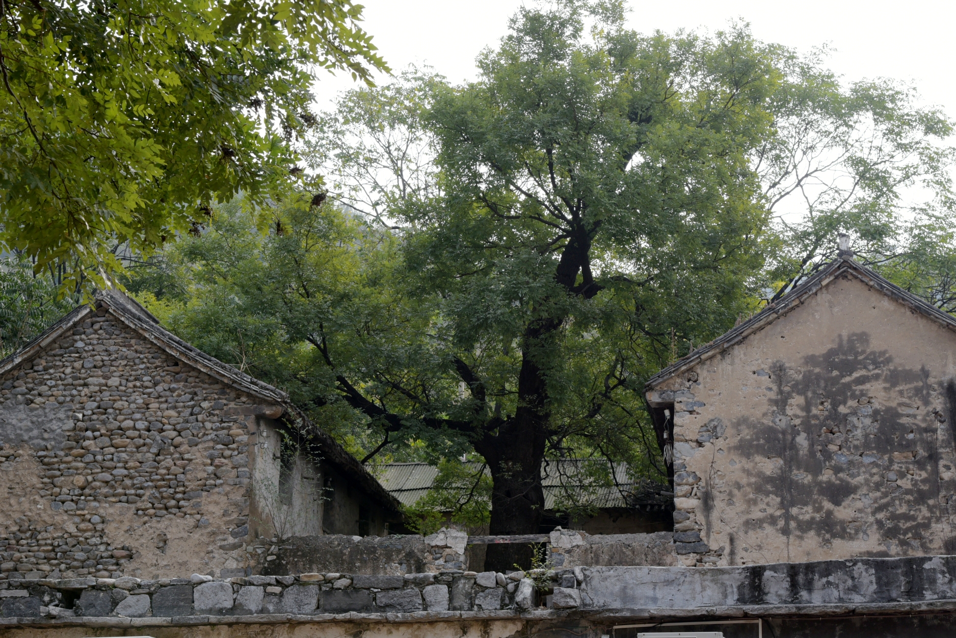 焦作知青走进于庄上集感受古村水竹圆石建筑文化