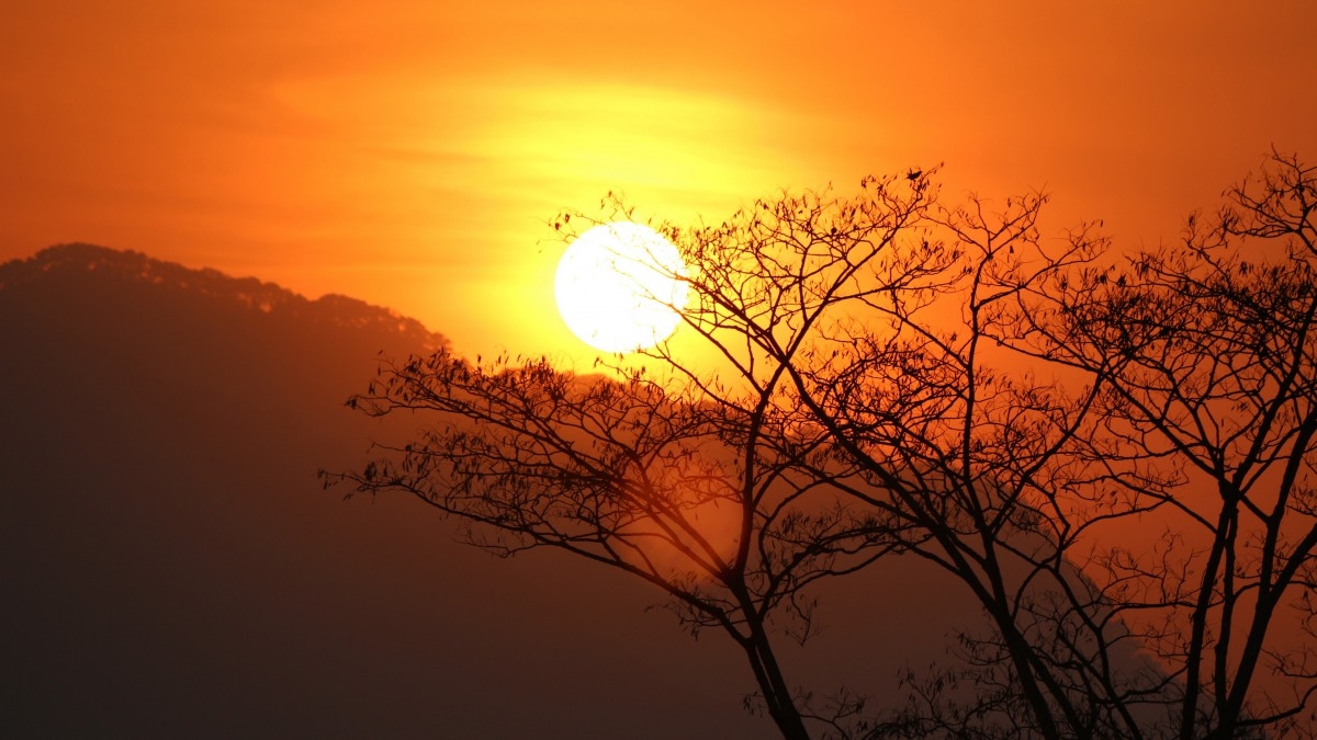 雨后夕阳映秋晖