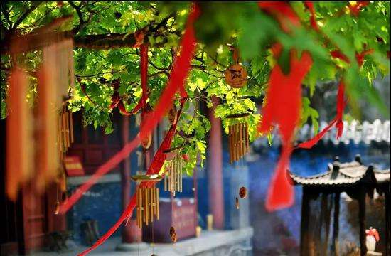 配乐散文《菩提树下等千年 只为见你一面》 作者:法宝结缘 朗诵:老荣