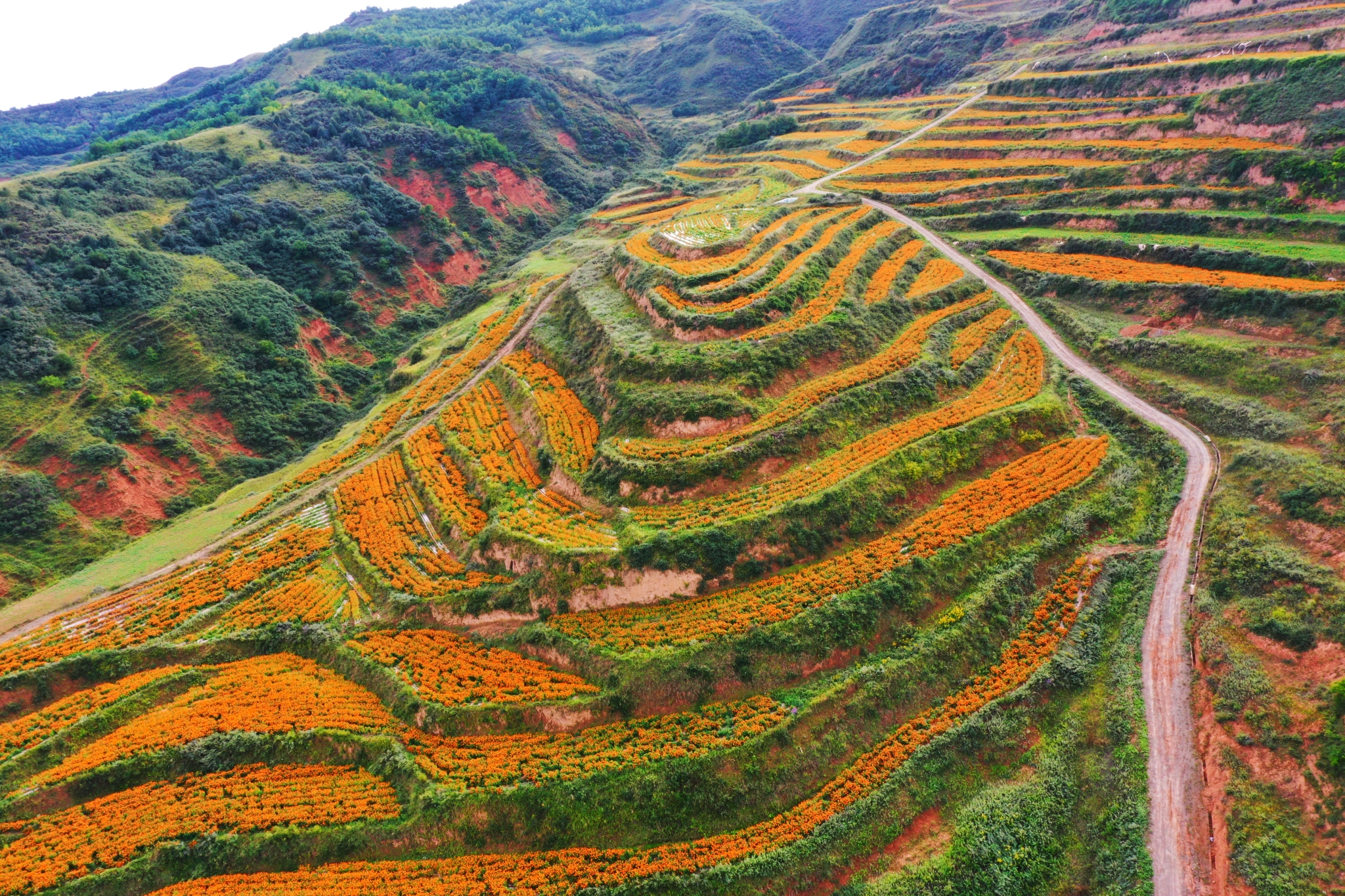 礼县马河乡图片