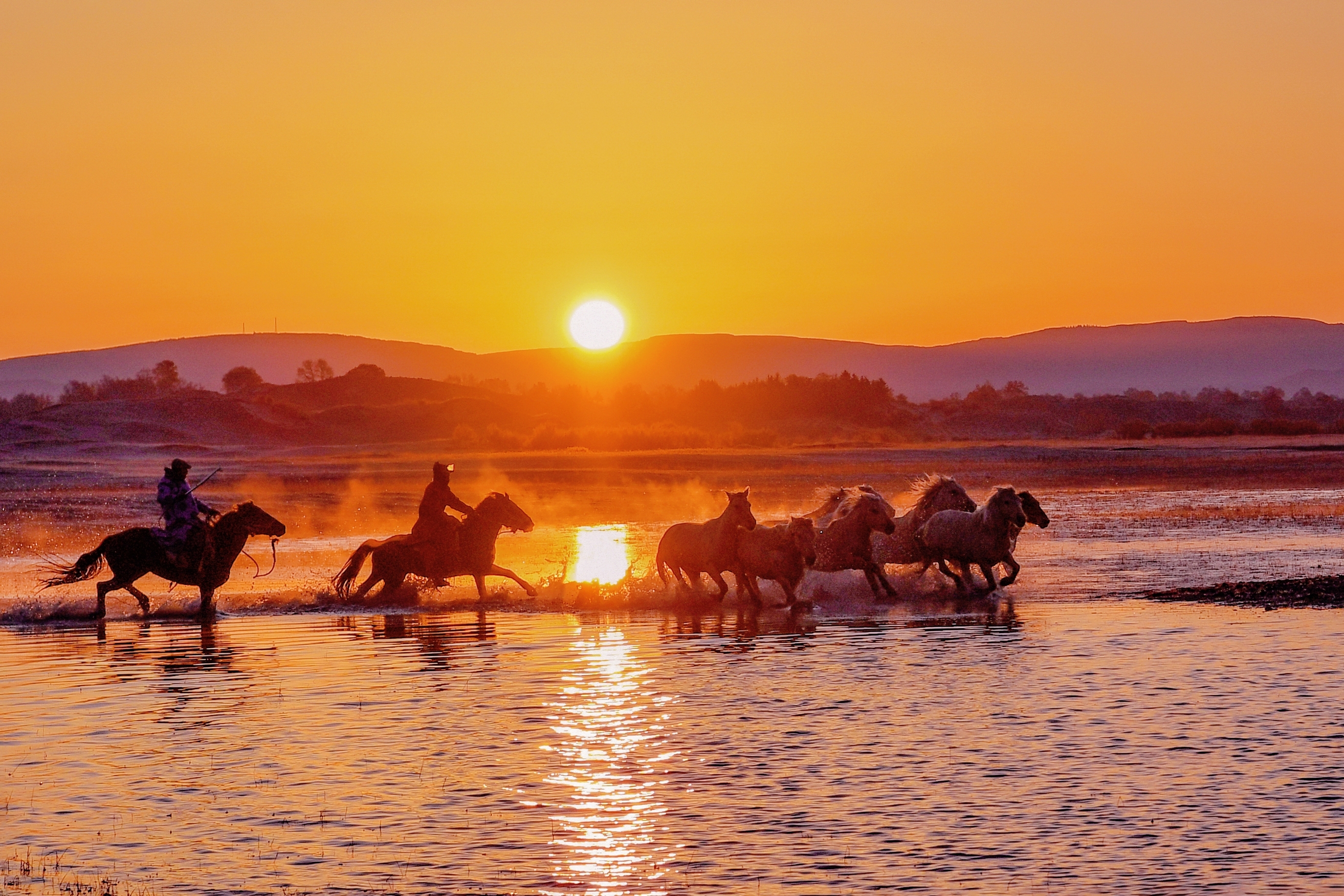 骏马奔腾浴朝阳
