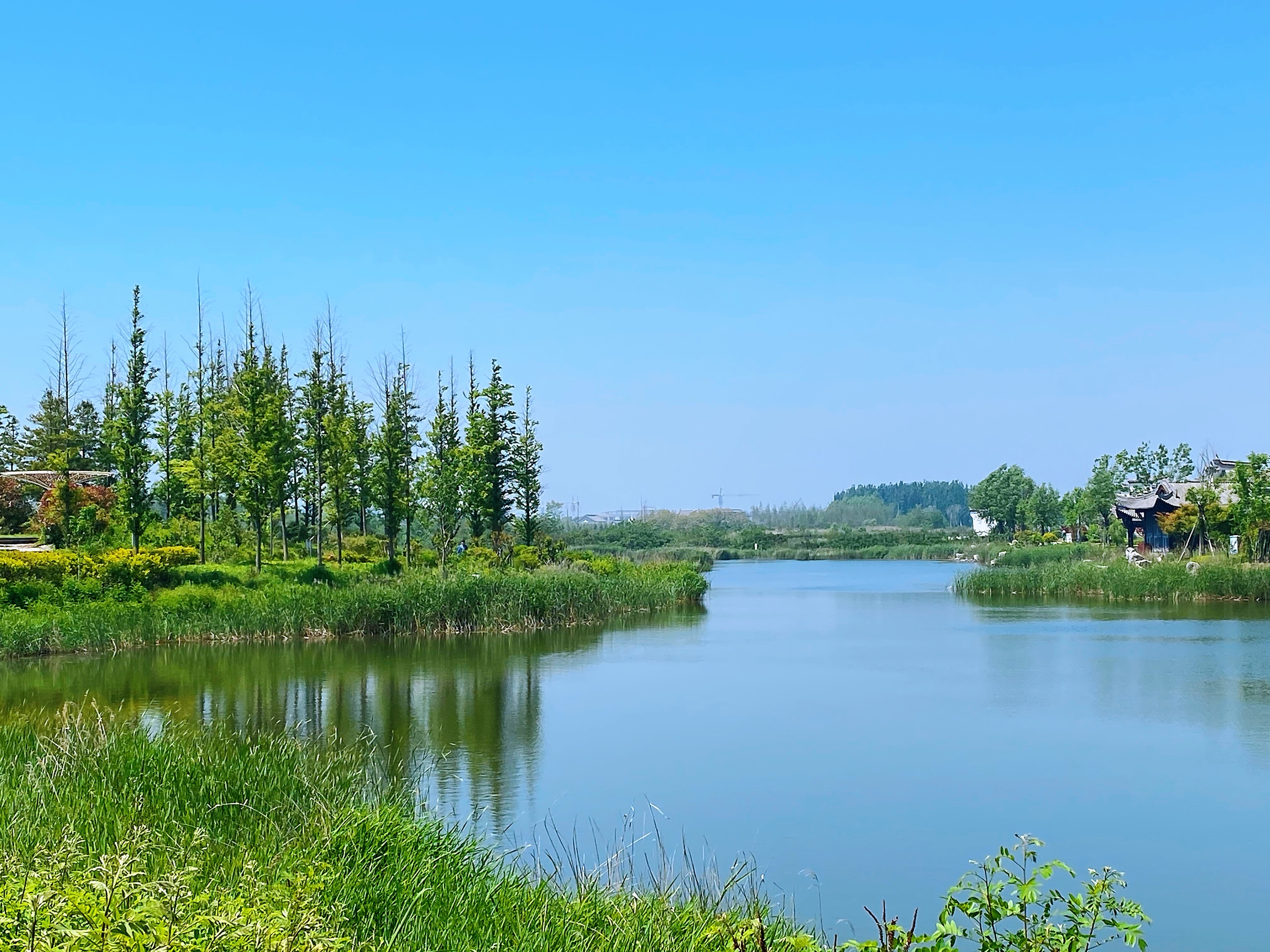 【首发】海西湿地公园掠影