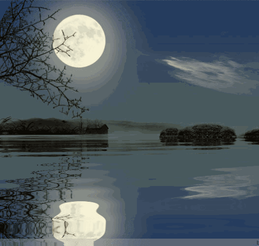 526_500gif 动态图 动图