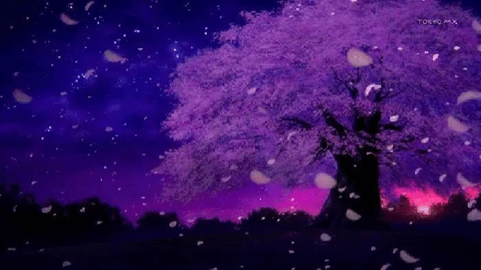 700_393gif 动态图 动图