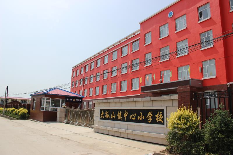 学党史悟思想办实事开新局大孤山镇中心小学校党史学习教育专题组织