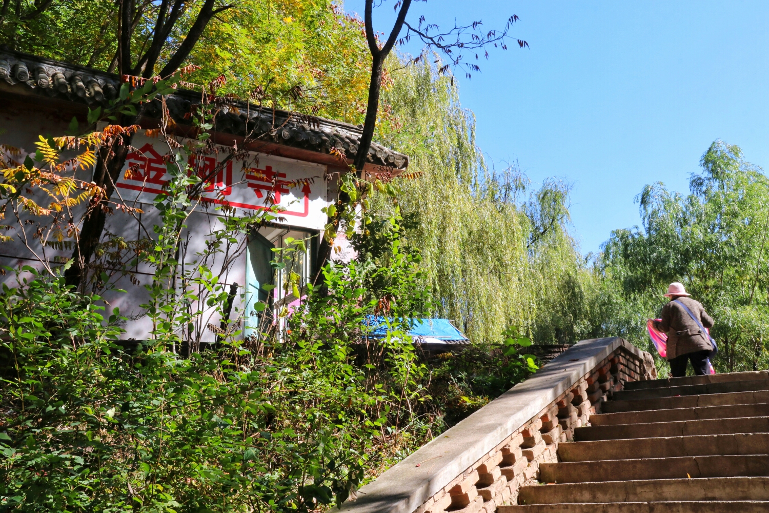 京津冀旅遊年卡可以免費進入景區,同時還能免費坐船一次.