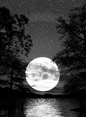 飞花令·月满中秋,江南快乐【首发】