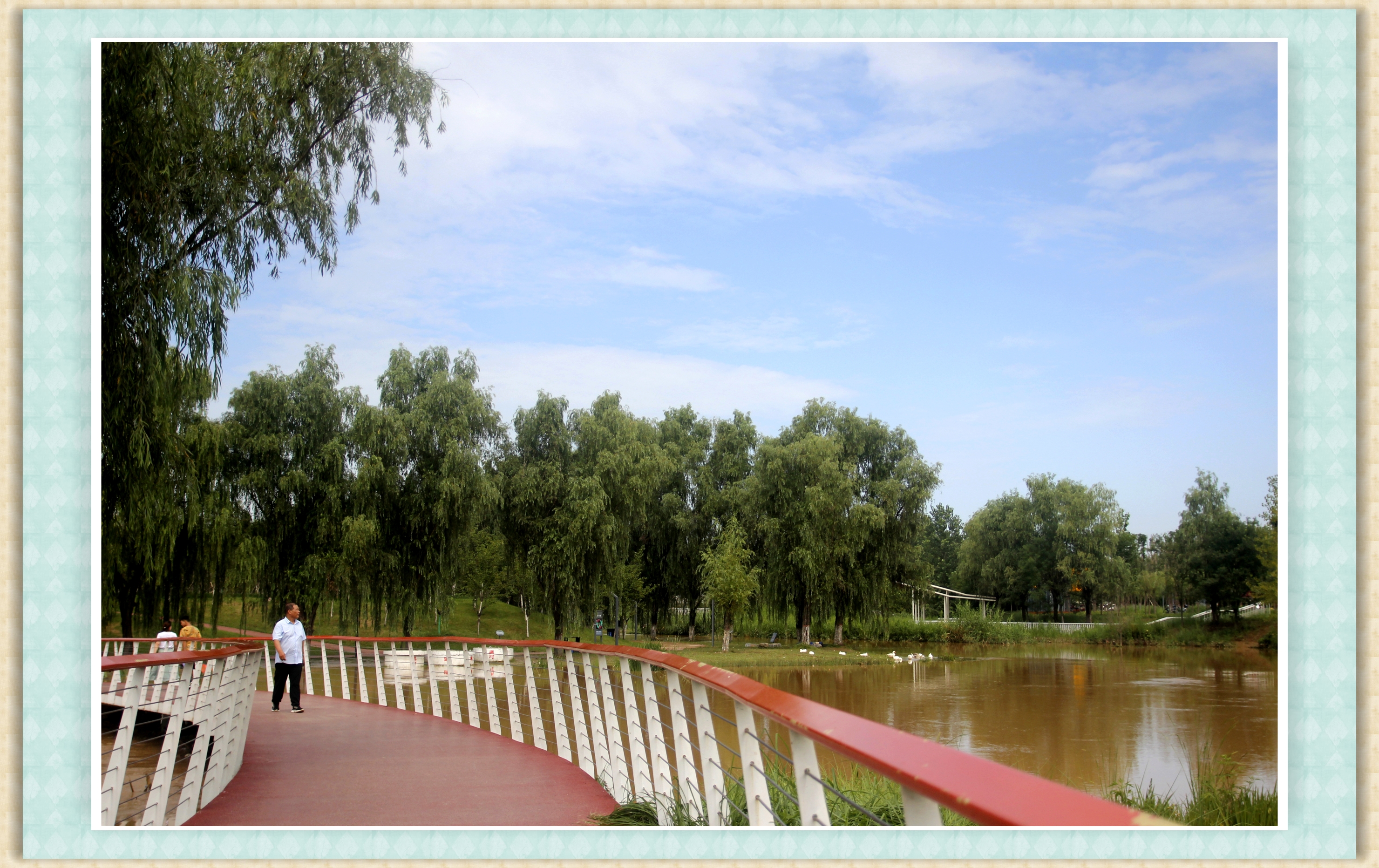 【首发】雨后的樊川公园