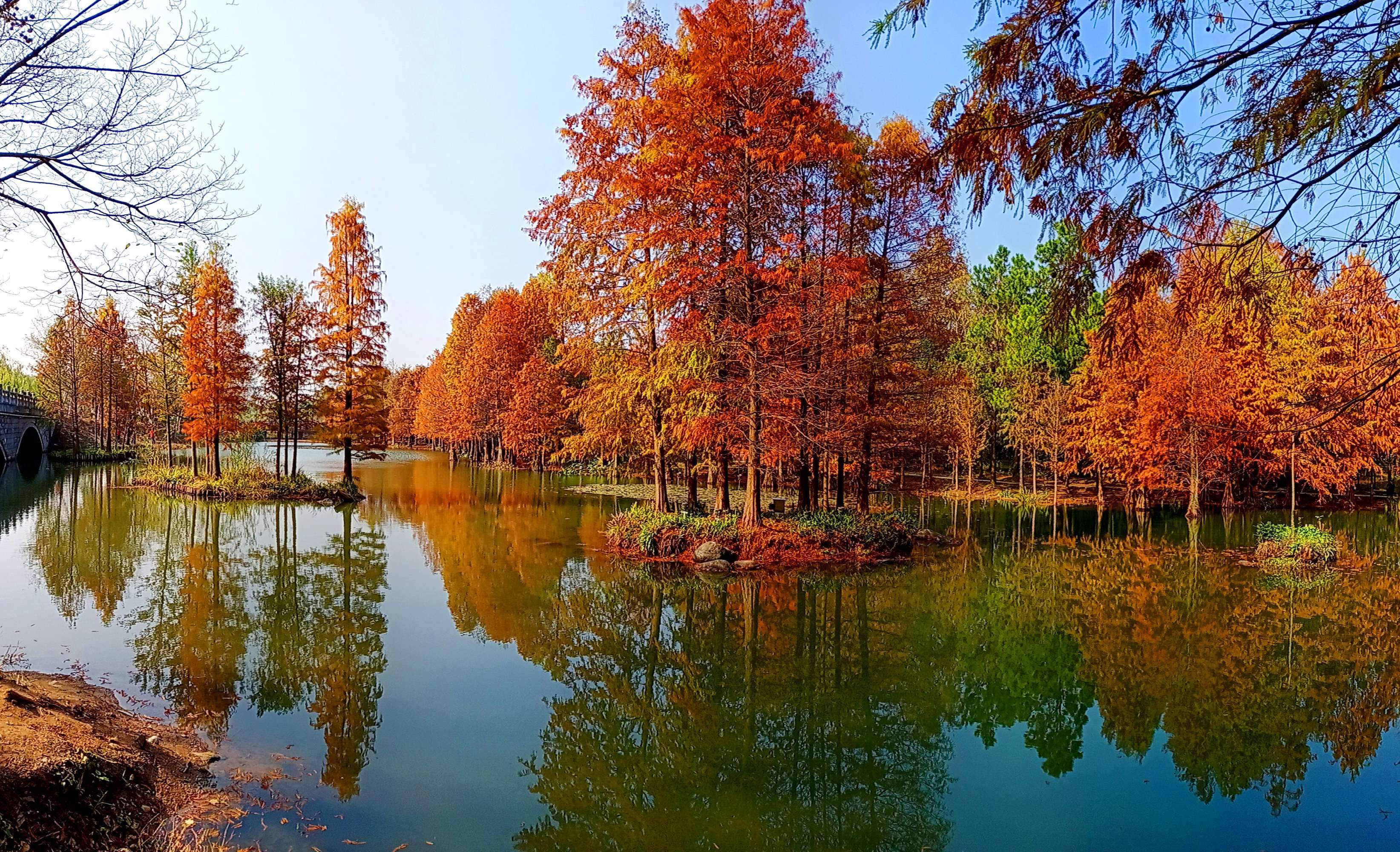 红杉映火燕雀湖