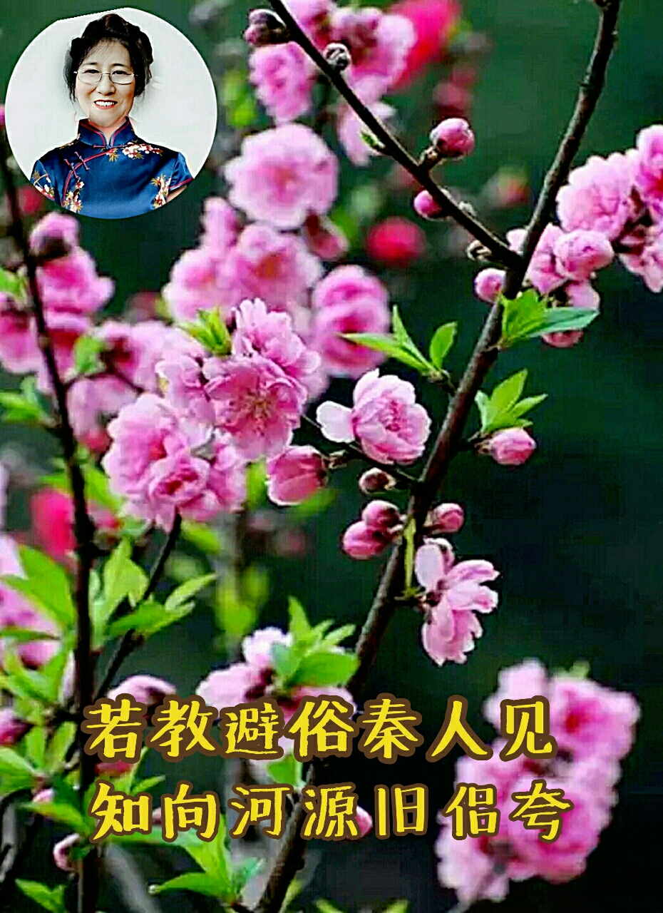 去年花里逢君别,今日花开又一年.