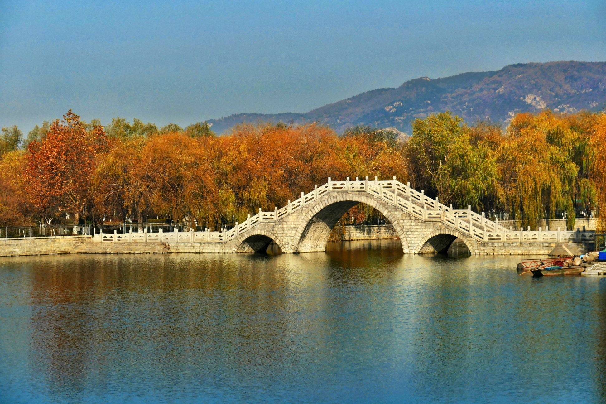 初冬泰安天平湖公园风景如画,公园依山傍水,空气清新,环境幽静,野花满
