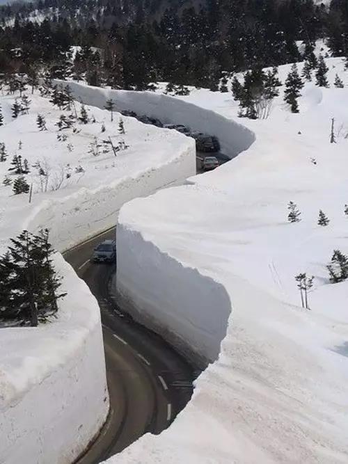 小伙伴们来见识见识啥叫大雪俄罗斯雪景图片来自网络