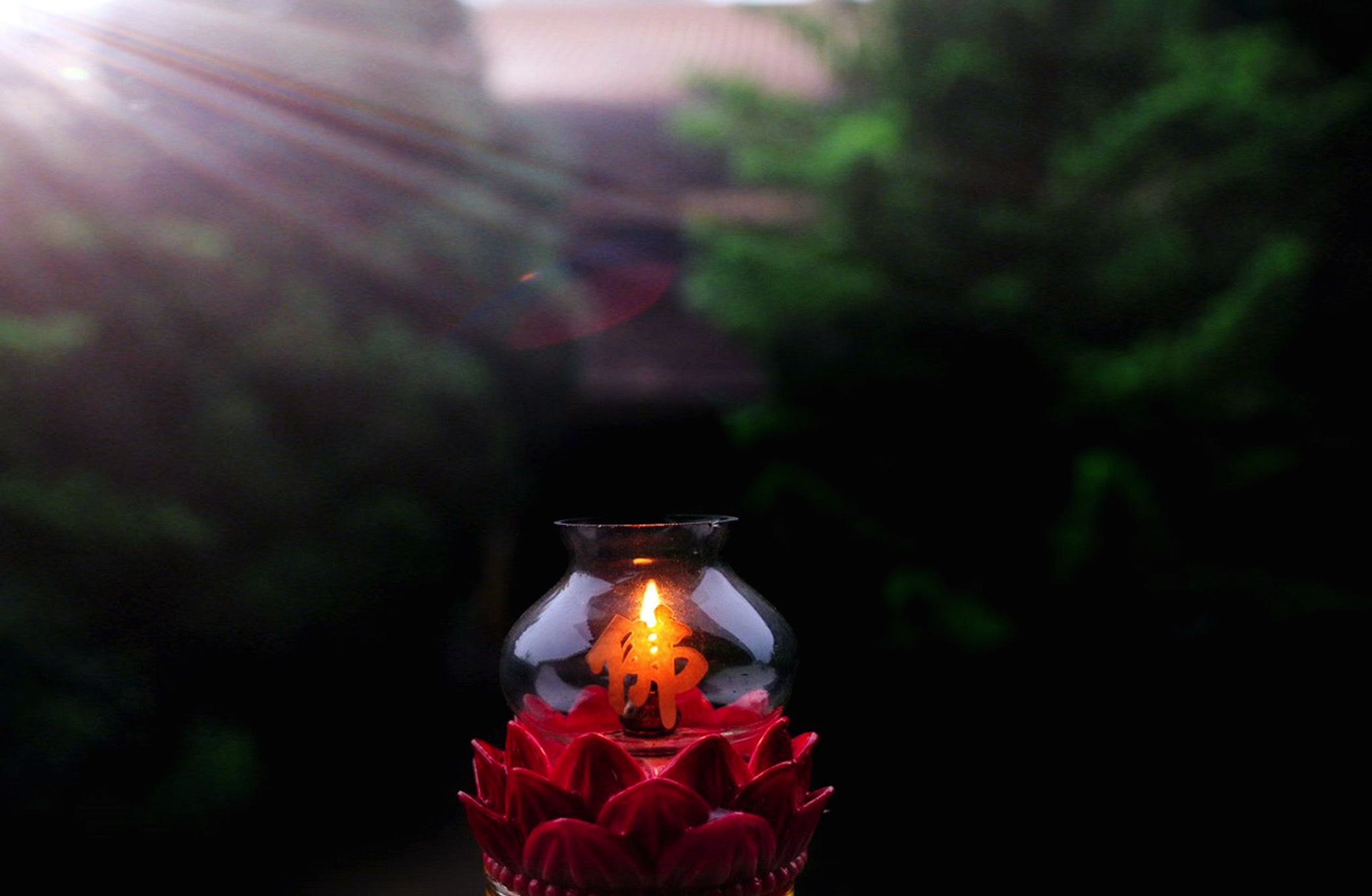 玩转v篇让我做你心中的佛碑林路人诵读过岩松