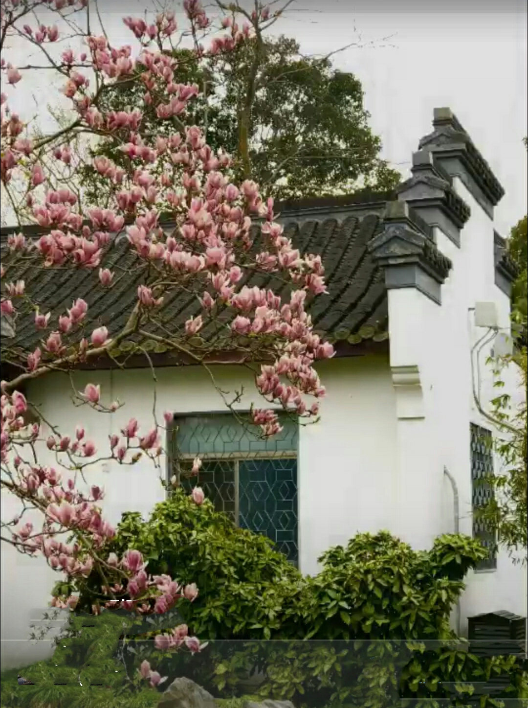 春韵江南