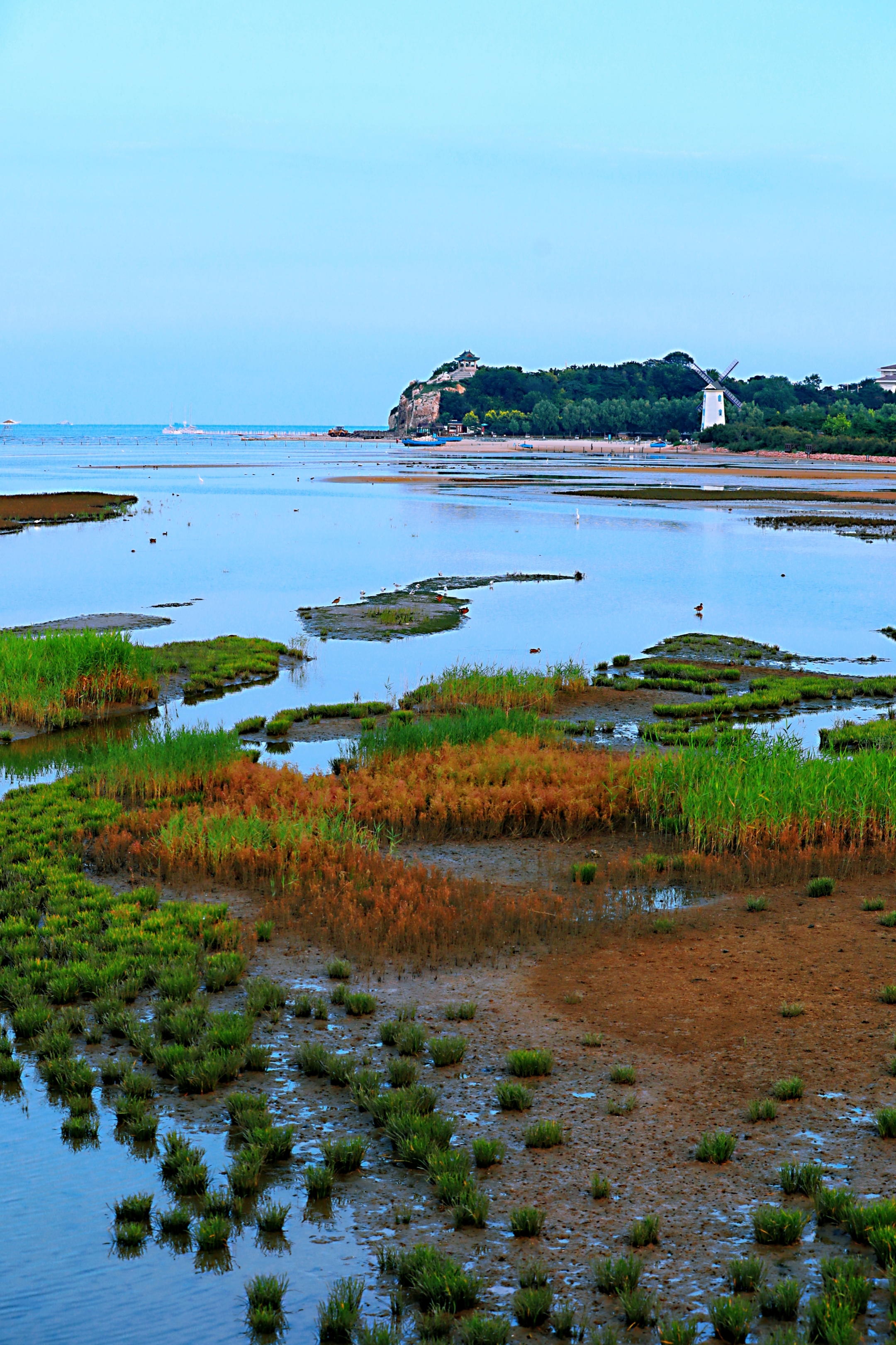 北戴河湿地