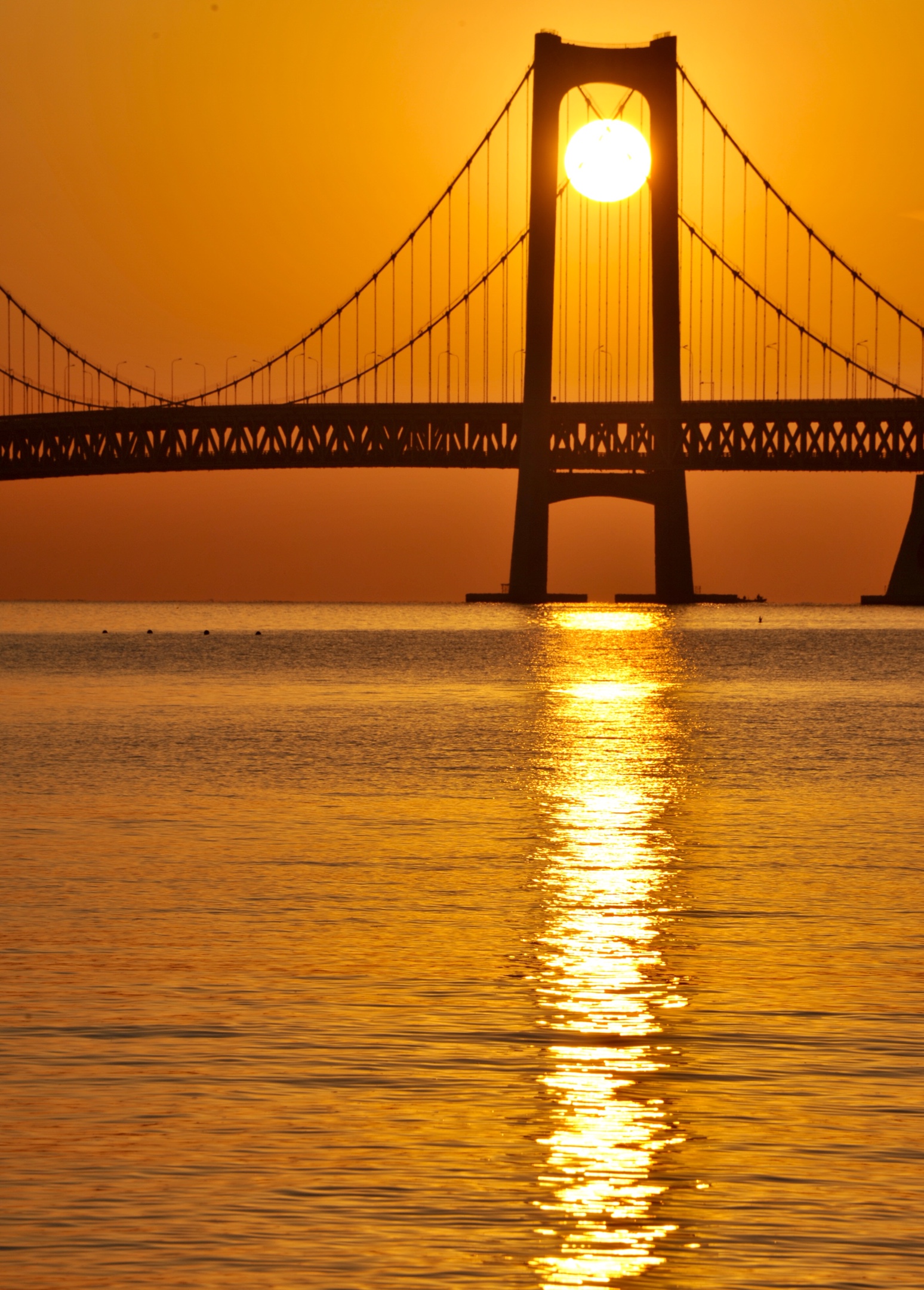 岁末,美丽的滨海城市大连晴空万里,清晨在星海公园海滩可观赏到日出的