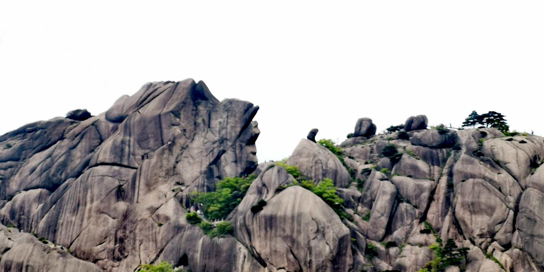 黄山之美奇松与怪石