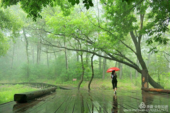 陈永顺诗雨中漫步