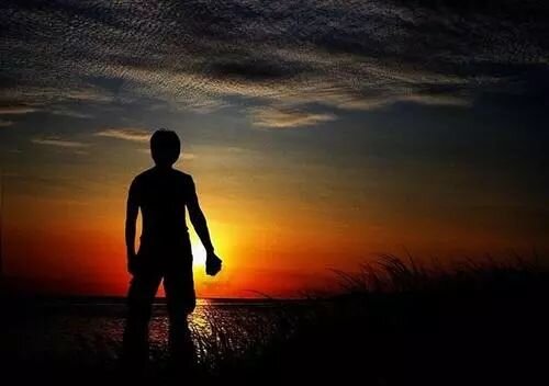 在朝与暮之间 不知疲倦地执着往返 在风和雨的缝隙 穿梭前行 是背影的