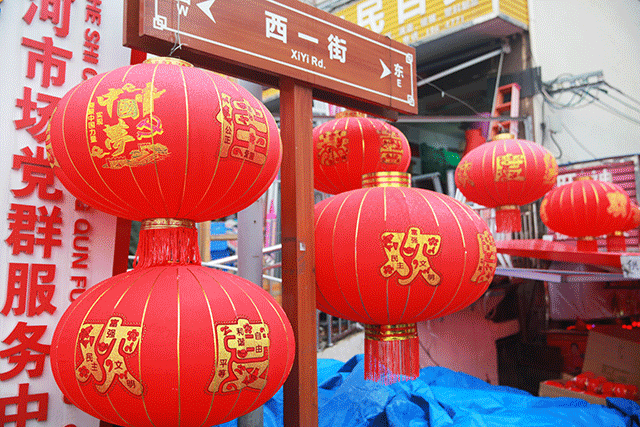 着挂在树上的红灯笼,发呆   风很冷,心剧烈地跳动 疫情阻断了回家的路