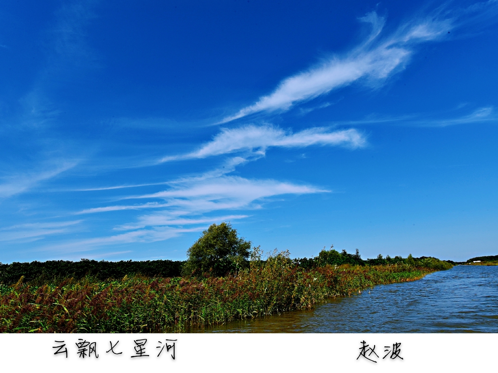 建三江七星河湿地风光