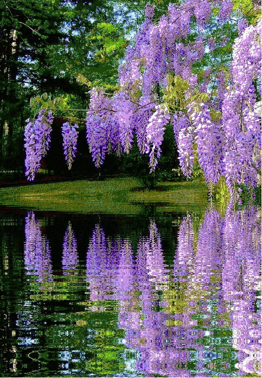 529_762竖版 竖屏gif 动态图 动图