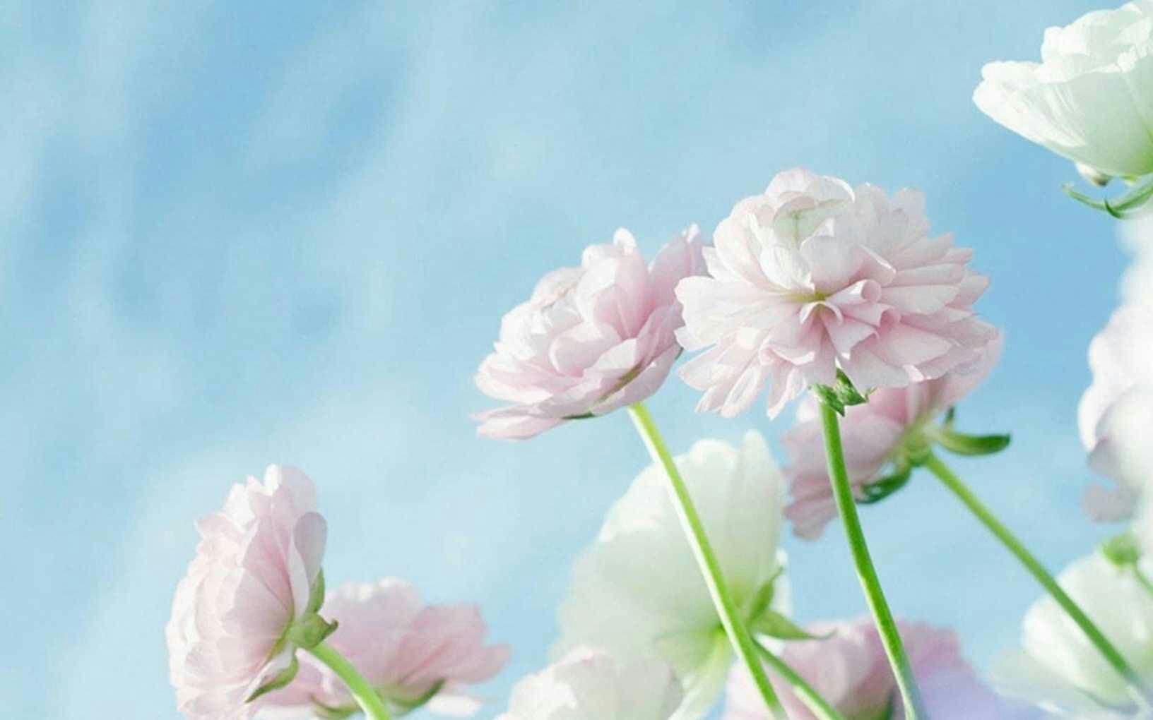 喂马,劈柴 周游世界