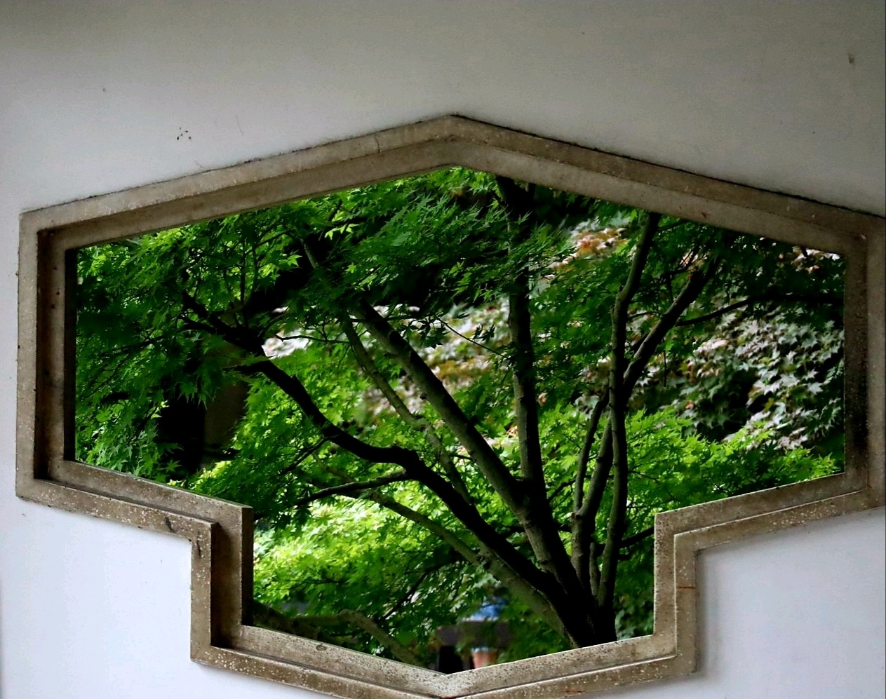 【首发】随拍随想之四 窗外是风景,窗里是故事