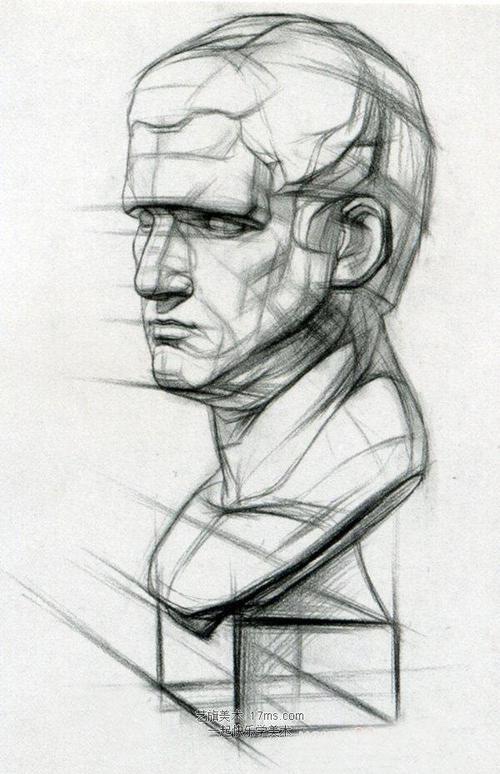 沈玉婷: 石膏人像结构素描.