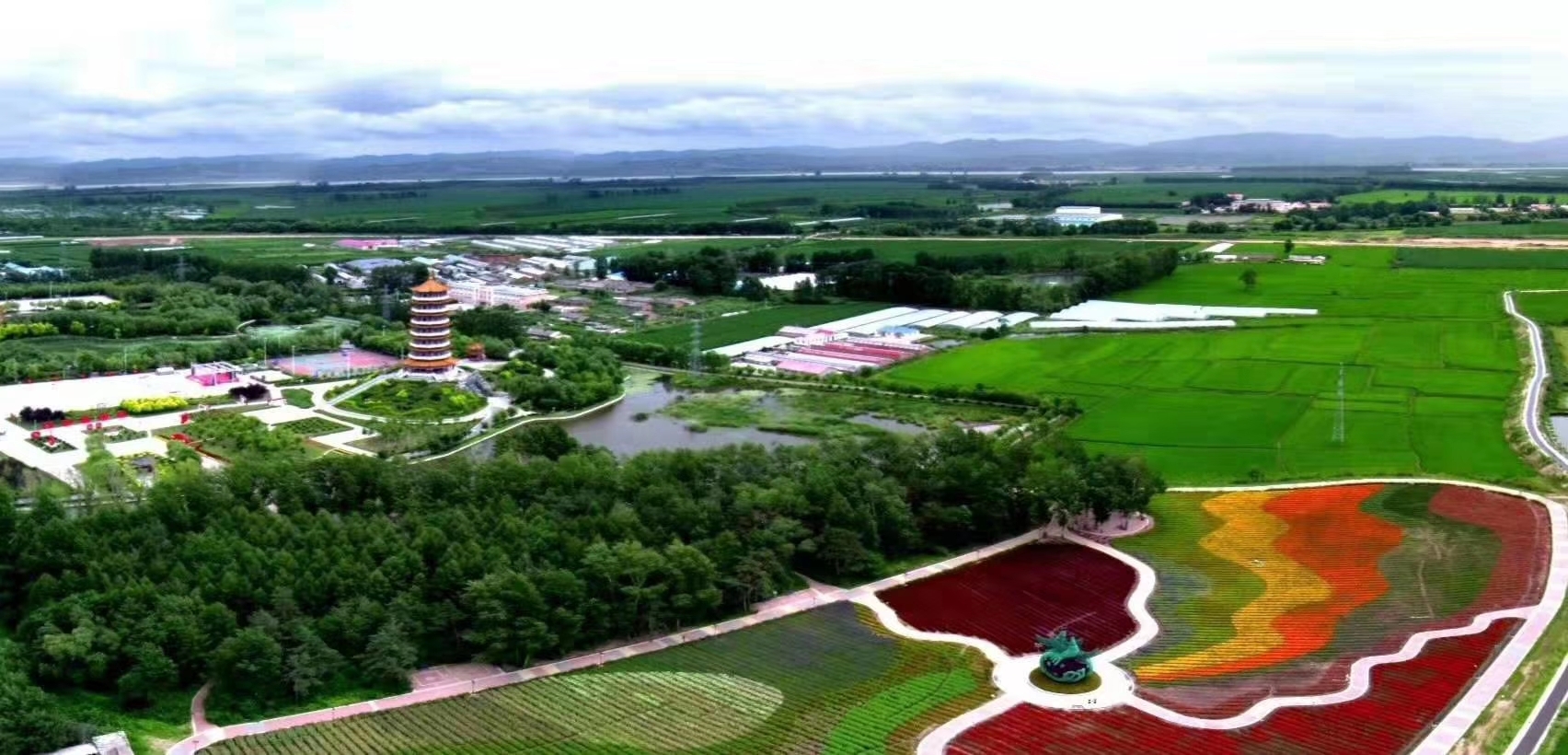 青红紫绿白黄橙,作者  枫    歌汤原凤鸣花海