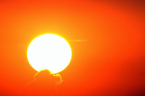 杨涵雯诞辰一百天剃胎发记