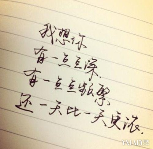 阵阵晨风从窗子里吹进来,清新的空气让我的心丝丝暖意