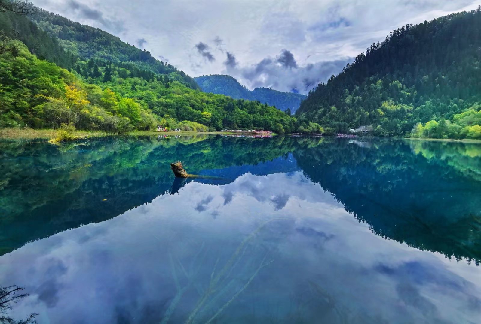 【首发】九寨沟(五花海二)