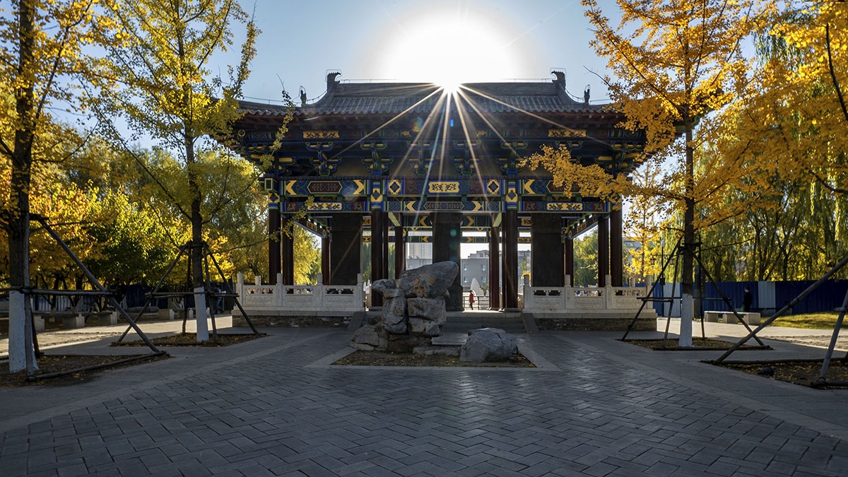 一叶知秋盛京碑林公园