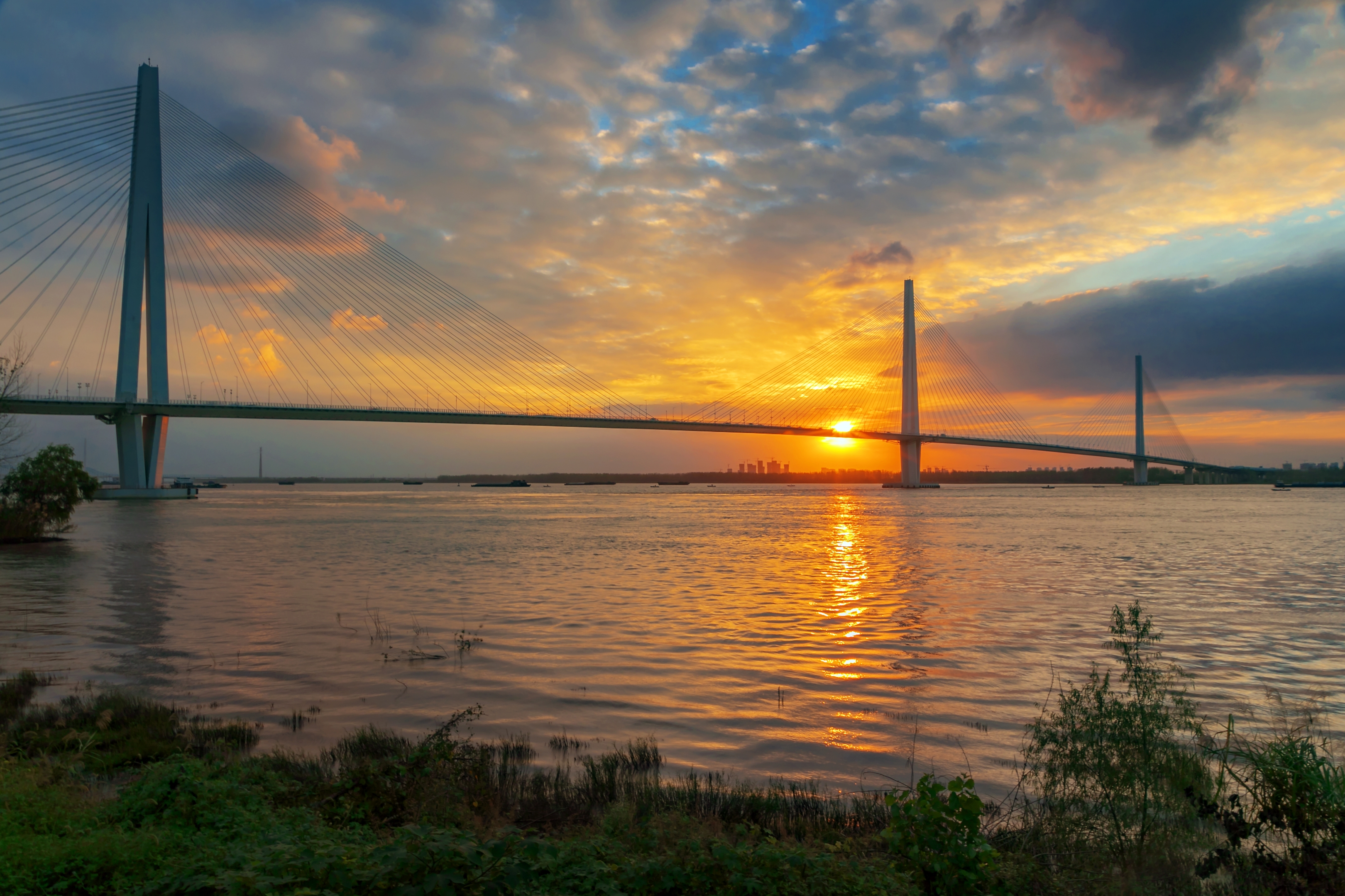 夕阳下的长江五桥(首发)