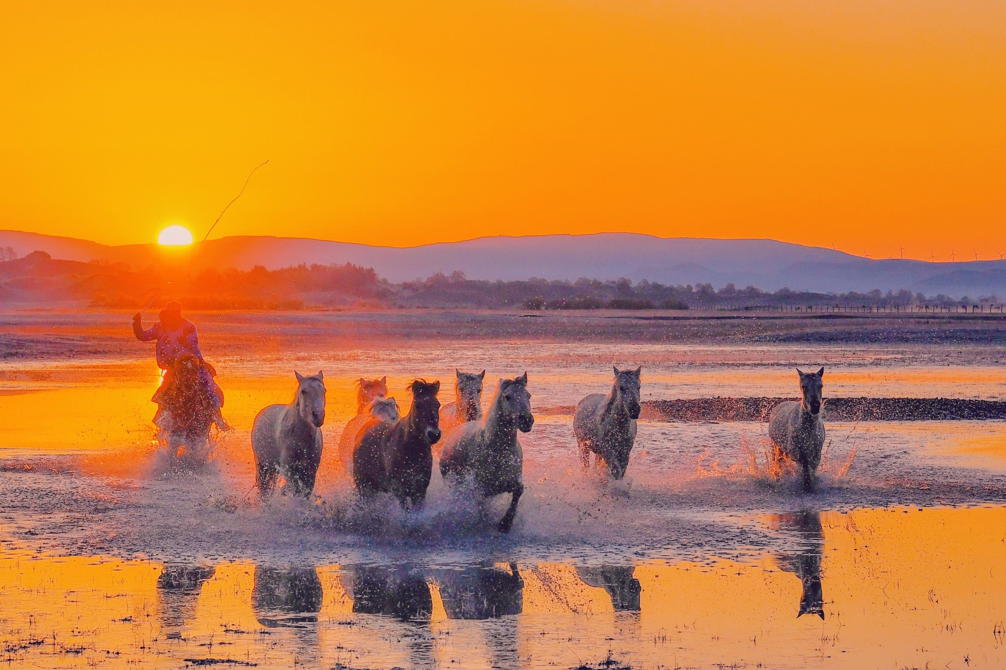 骏马奔腾浴朝阳