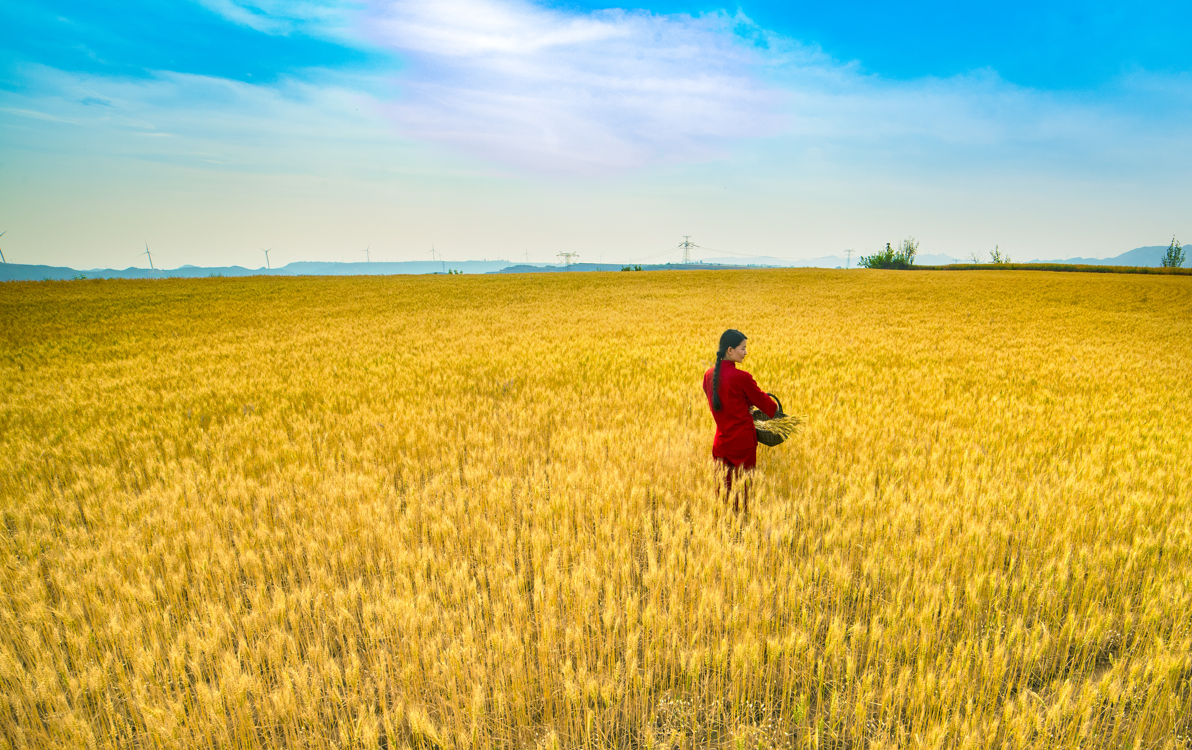 唯美麦田人像摄影九儿