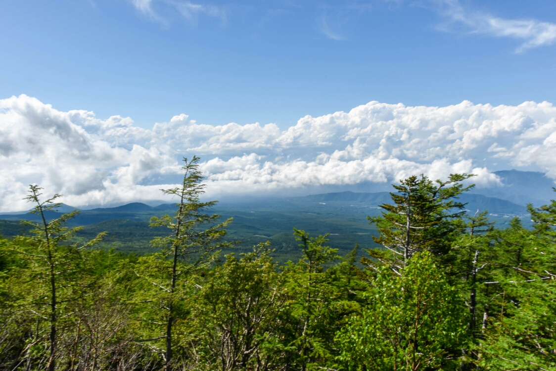 富士山下的记忆