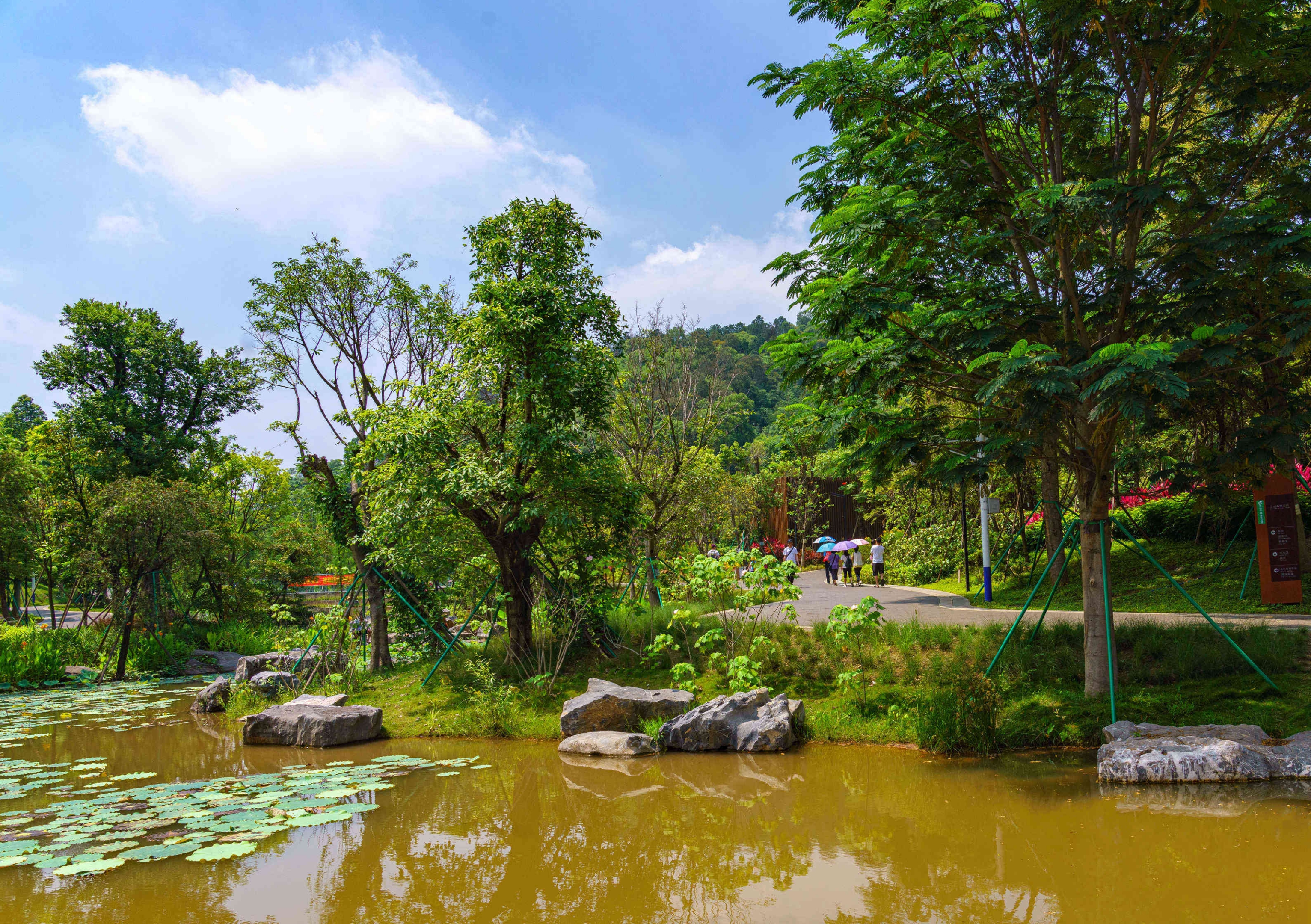 广州三山森林公园图片