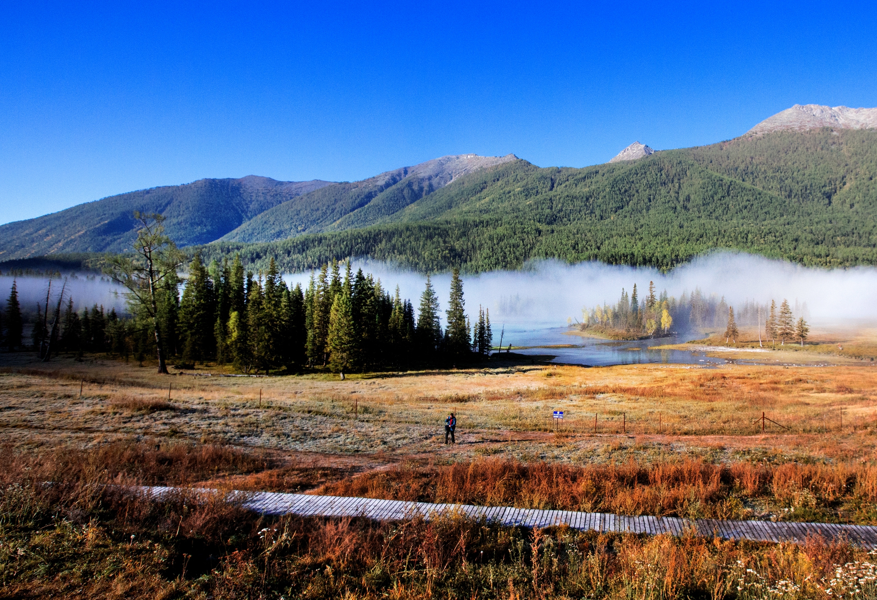 (首发)新疆喀纳斯国家地质公园掠影(4)