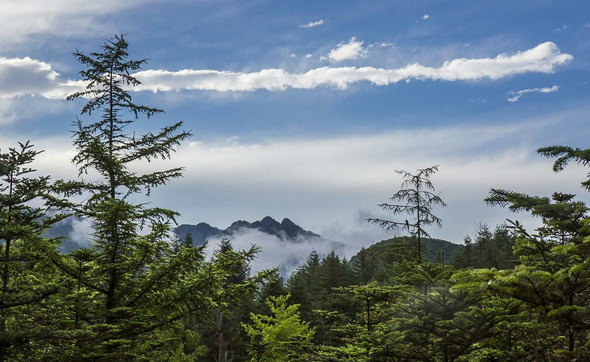 桦川诗词散曲微刊2019第二期雨后新姿专刊