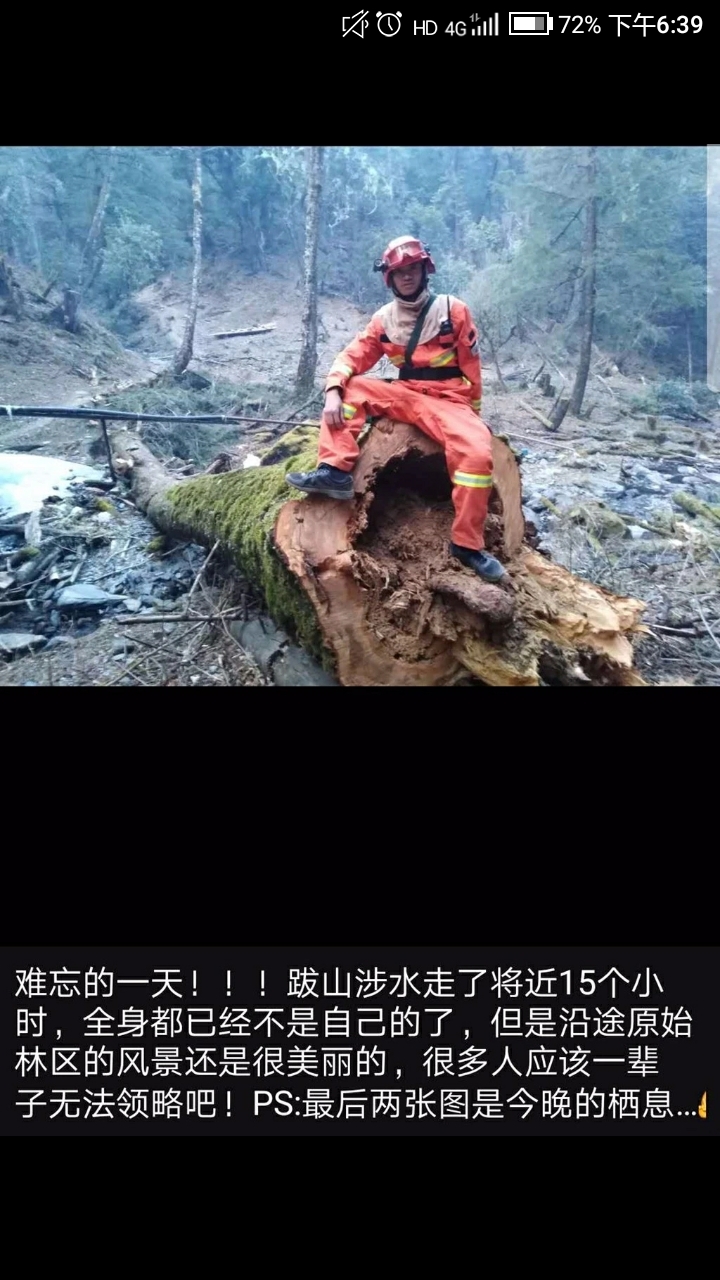 凉山消防员死亡图图片