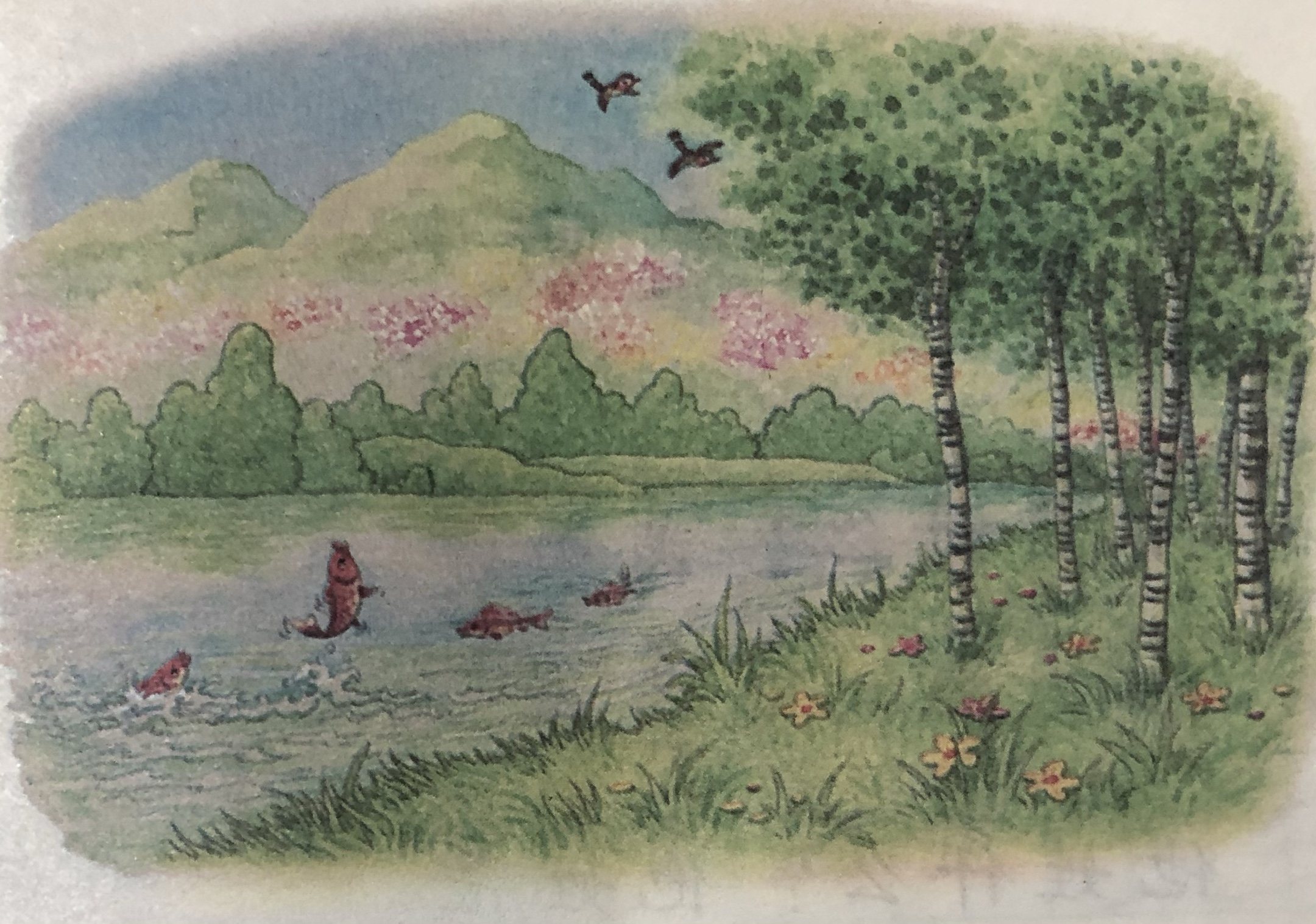 崔梓农邀请您一起读课文—春夏秋冬