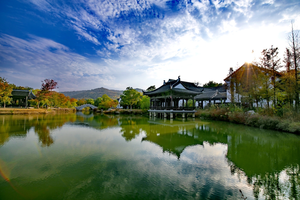 乙亥年秋拍摄于镇江南山北入口谢谢浏览